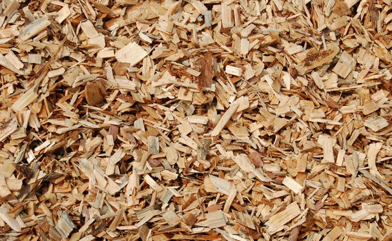 High-Quality Wood Chips for Sale Near You